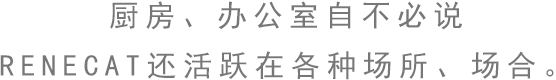 厨房、办公室自不必说 RENECAT还活跃在各种场所、场合。