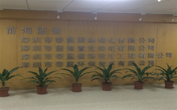 前海股份