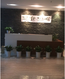 惠佑嘉通