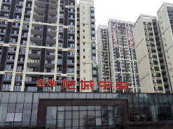金地龙城中央